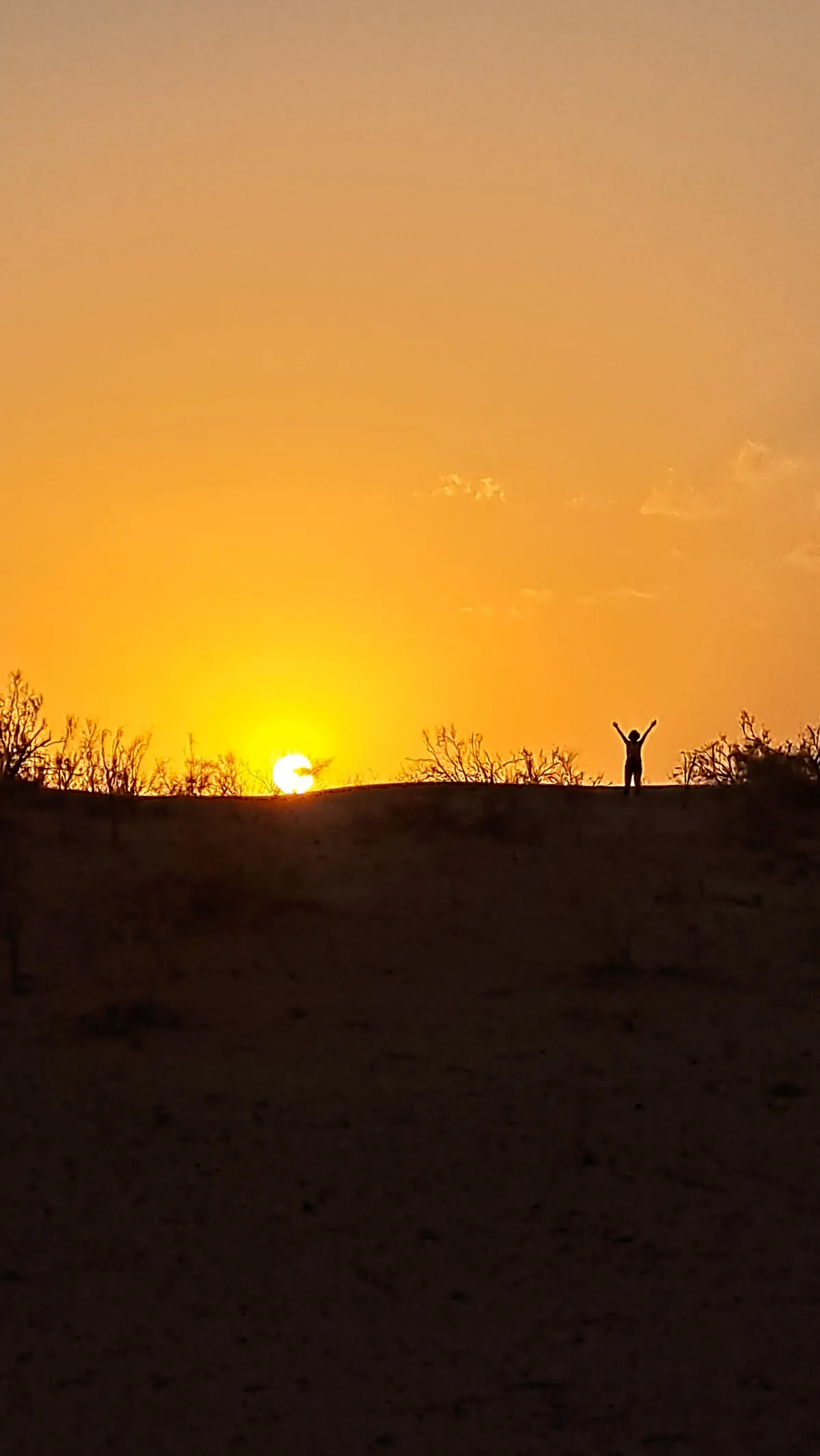 Silhouette of a person with raised arms on top of a sand dune against a bright golden sunset in the Karakum Desert