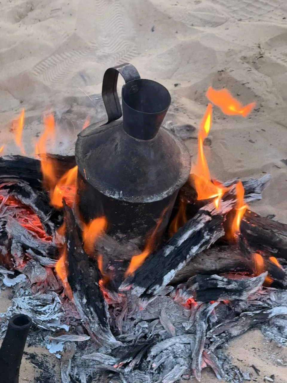 Traditional metal teapot on a saxaul wood fire in the sands of the Karakum Desert, Turkmenistan