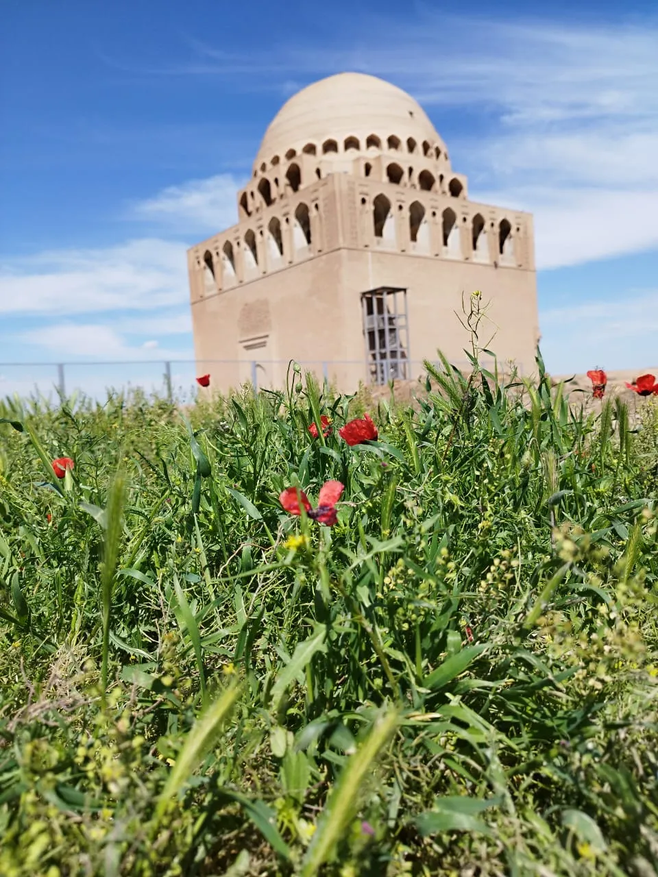 The Mausoleum of Sultan Sanjar in Ancient Merv, set against a backdrop of blooming red poppies and a blue sky