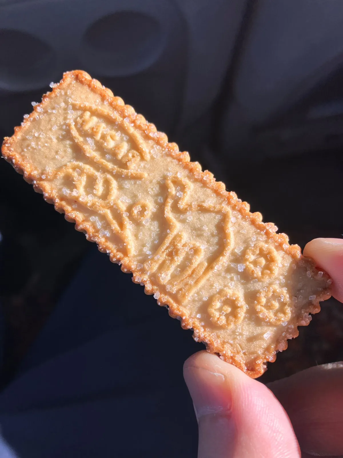 Crunchy Hasar brand sugar cookie with an embossed camel silhouette in a traveler's hand