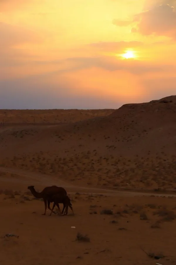 Best Time to Visit Darvaza Crater: A Season-by-Season Guide - фото 2