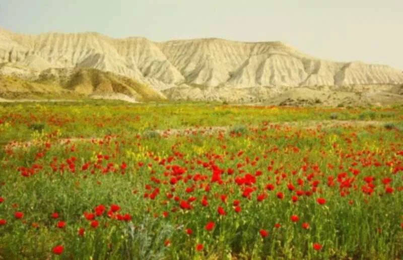 Best Time to Visit Turkmenistan: A Detailed Month-by-Month and Seasonal Guide